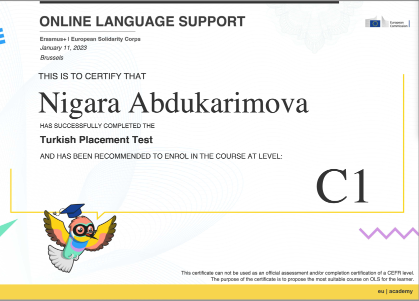 Мой сертификат на знание турецкого языка на уровень С1 изображение 1