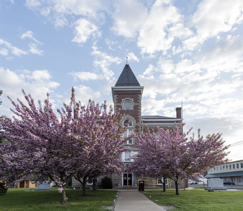 Как Полина поступила в West Virginia University с полным финансированием изображение 5