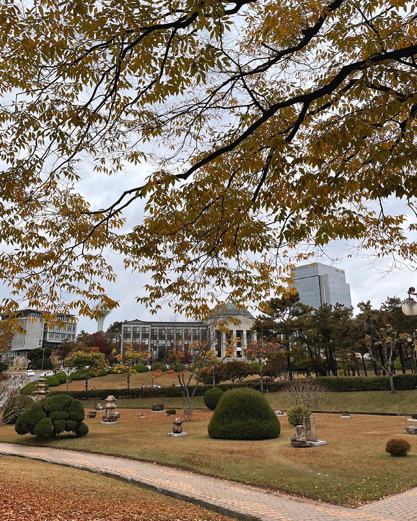 Мое поступление на степень магистра в Kyungpook National University изображение 3