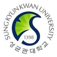 Поступление Игоря в Sungkyunkwan University